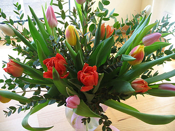 Flowers, Tulips, Beauty, Greens, Bouquet, Vase HD wallpaper