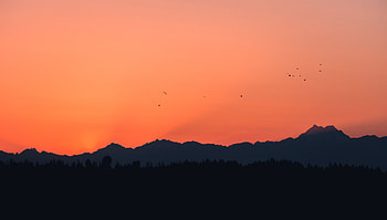 Birds, Sunset, Mountains, Dark, Outlines HD wallpaper