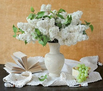 vase of white lilacs, still life, white, book, lilacs, vase, flowers HD wallpaper