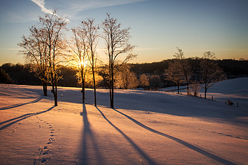 Winter, Nature, Trees, Sunset, Twilight, Snow, Dusk HD wallpaper