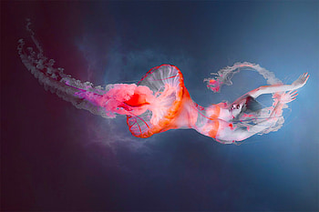 Symbiosis, mermaid, digital, fantasy, pretty, art, beautiful, girl, woman HD wallpaper