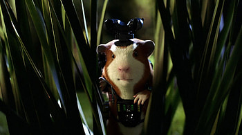 Mooch on Recon G Force , guinea pig, animation, mooch, g force HD wallpaper