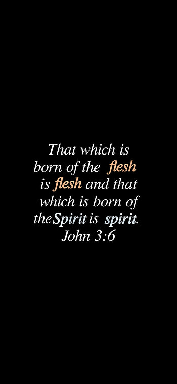 John 3:6, Holy Spirit, Christian, Biblical , flesh, Bible verse, Biblical HD phone wallpaper