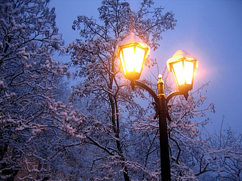 Landscape, Winter, Trees, Night, Snow HD wallpaper