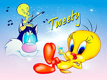 Tweety, blue, cute, Cat HD wallpaper