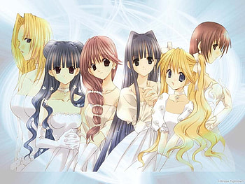 Angel Dust, sexy, white, hot, cute, girl, anime girl, anime, wedding, group, girls, bride, female HD wallpaper