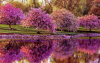 Countryside charm, Rural spring scenes, Serene landscapes, Scenic beauty HD wallpaper