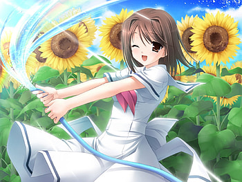 Playing with Water, anime girl, anime, cute, flowers, water, sun HD wallpaper