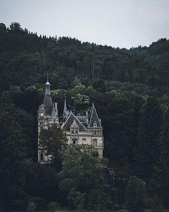 Trees, Rock, Lock, Building, Miscellanea, Miscellaneous, Forest HD phone wallpaper