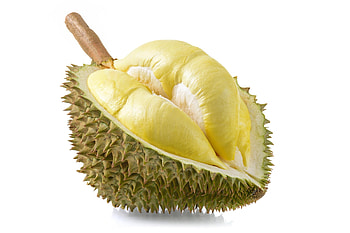 Distinctive odor, Durian reputation, Infamous smell, Aromatic allure HD wallpaper