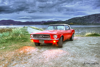 Ford, Mustang, Cars, r HD wallpaper