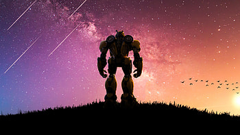 Bumblebee, 2020, 1440p resolution HD wallpaper