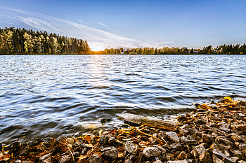 Nature, Trees, Stones, Sun, Horizon, Lake HD wallpaper