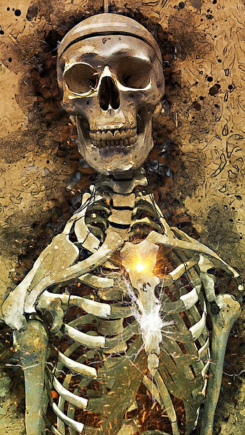 Skeleton, Human Skeleton HD phone wallpaper