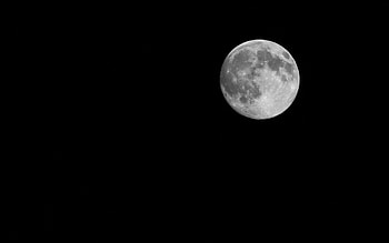 Cant Fight the Moonlight, night, full moon, moonlight, moon, sky HD wallpaper