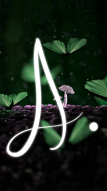 A Name Ka, Green Leaves, mashroom HD phone wallpaper