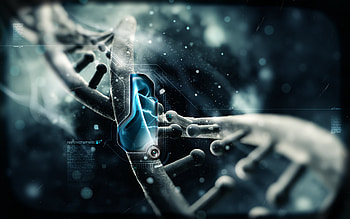 Dna Structure, Artistic HD wallpaper