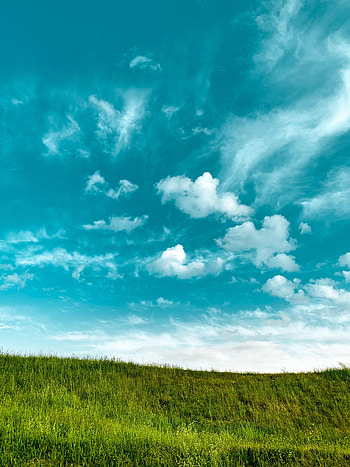 Nature, Grass, Sky, Clouds, Minimalism HD phone wallpaper