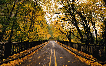 Landscape, Roads, Autumn HD wallpaper