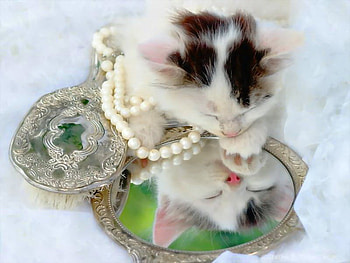 Reflection of the beautiful lady, kitten, mirror, sweet, kitty, cute, cat, lafy, beautiful, fluffy, reflection, pearls, funny, adorable HD wallpaper