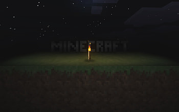 Minecraft, video game, game, , torch HD wallpaper