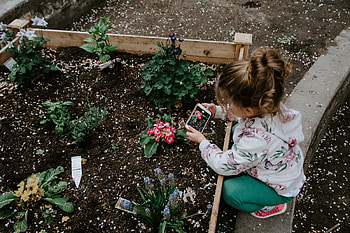 Flowers, Miscellanea, Miscellaneous, Flower Bed, Flowerbed, Girl, grapher, Child, Hobby, Interest HD wallpaper