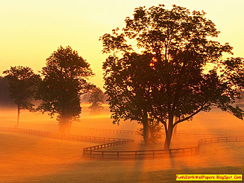 Beautiful Sunrise, beautiful, sunrise HD wallpaper