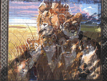 Lion Pride Mural, artwork, murals, texas, street art, san antonio, lions HD wallpaper