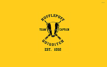 Hufflepuff Quidditch team - Harry Potter HD wallpaper