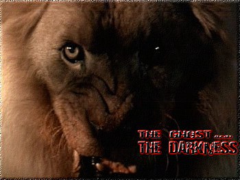 the ghost & darkness, darkness HD wallpaper