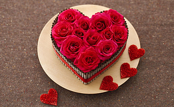 Bunch of red roses, rose, petals, flower, love, red, bunch, heart HD wallpaper
