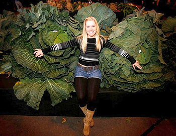 Big Leaves, cool HD wallpaper