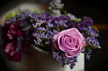 Flowers, Rose Flower, Rose, Bouquet, Composition HD wallpaper
