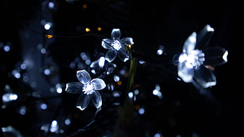 Glow Garland Flower Bokeh Background Glitter HD wallpaper