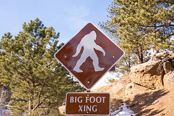 Bigfoot, Mountain lions, Exist, Mysterious creature HD wallpaper