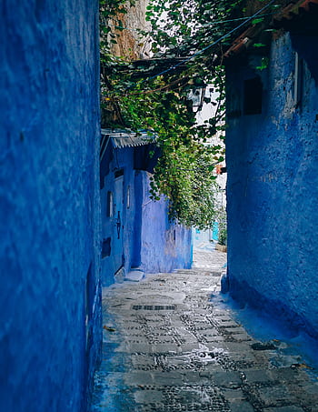 A que narrow alley with blue painted walls and ivy in Marrakech, Morocco. HD phone wallpaper