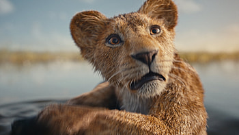 Mufasa: Majestic King, movie, Mufasa: The Lion King HD wallpaper