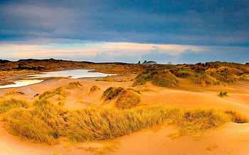 Landscape, Desert HD wallpaper