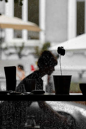 Rain, Dark, Silhouette, Wet, Window HD phone wallpaper