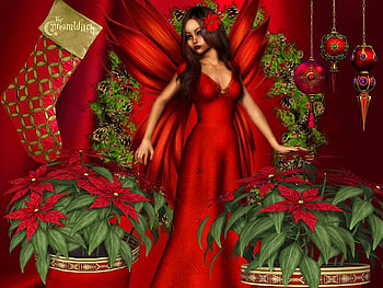 Christmas Fairy, artwork, wings, plants, girl, christmas star HD wallpaper