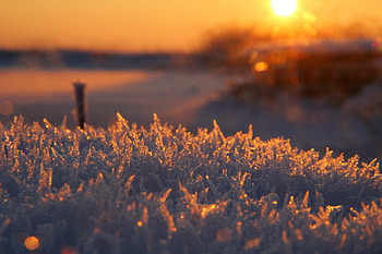 Macro, Shine, Brilliance, Frost, Hoarfrost HD wallpaper