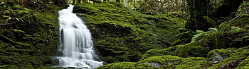 Green nature waterfall, Multiple display HD wallpaper