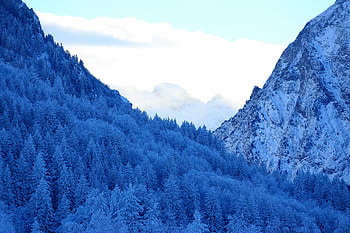 Mountains Snow Fir Forest Winter, mountains, snow, forest, nature HD wallpaper