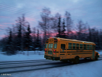 Backroad school bus, fun, other, sky, nature, bus, people, sunset HD wallpaper