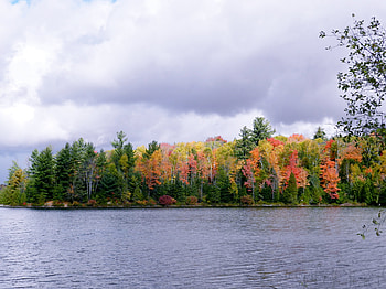 Forest And A Lake, graphy, Forest, Lake, Nature, Autumn, Clouds, Sky HD wallpaper