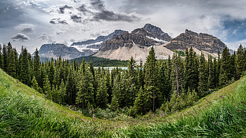 Nature, Trees, Grass, Mountains, Forest HD wallpaper