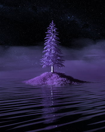 A surreal lone pine tree on a misty island with rippling water under a starry night sky. HD phone wallpaper