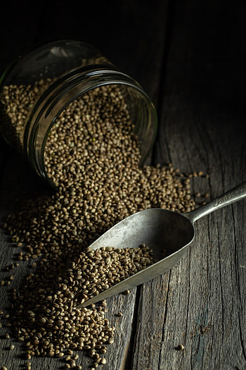 Hempoint's food products, Delicious hemp offerings, Nutritious choices, Premium quality HD phone wallpaper