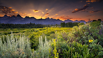 Grand Teton National Park, Scenery HD wallpaper