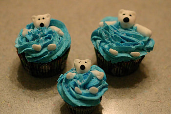 Cupcakes for Tony (Nannouk), blue, white, polar bear, sweets, dessert, food, cupcakes, turquoise, funny, water, cream HD wallpaper